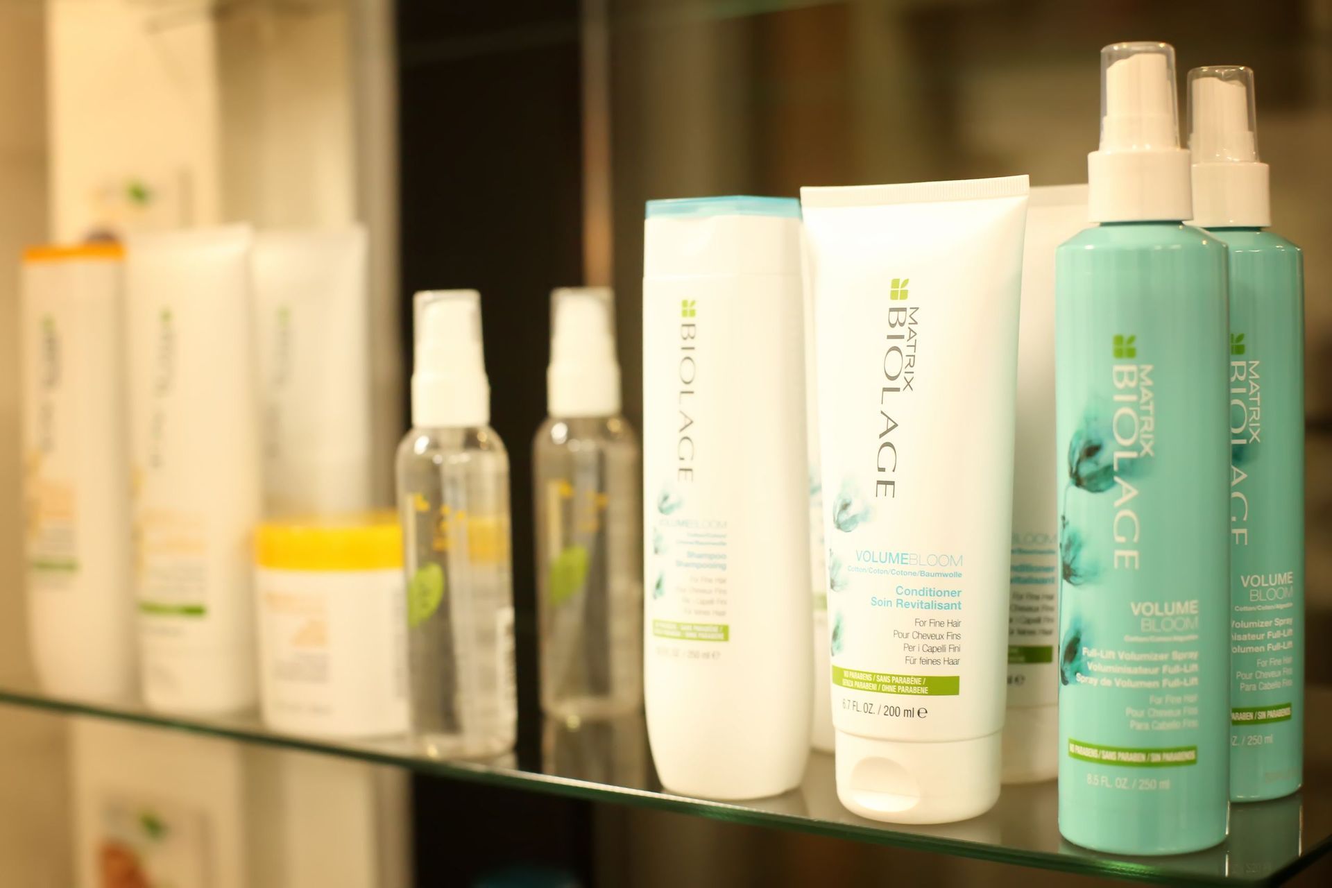 Salone Albachiara - Prodotti volume Biolage