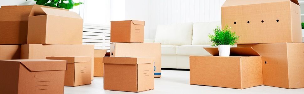 Cajas de cartón apiladas en una habitación luminosa; algunas cerradas, otras abiertas. Una planta reposa sobre una caja.