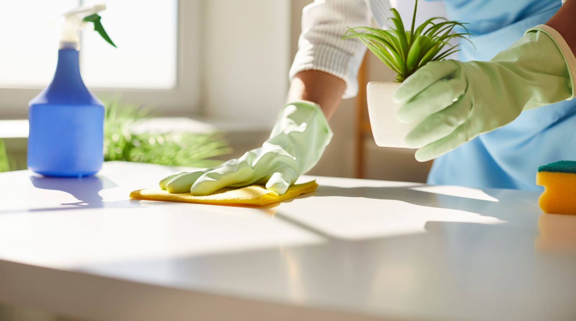 Des mains gantées essuient un comptoir ensoleillé avec un nettoyant en spray et une éponge.