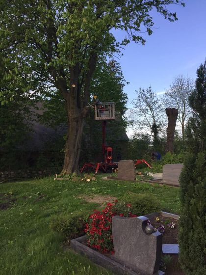 Ein Mann fällt auf einem Friedhof einen Baum.