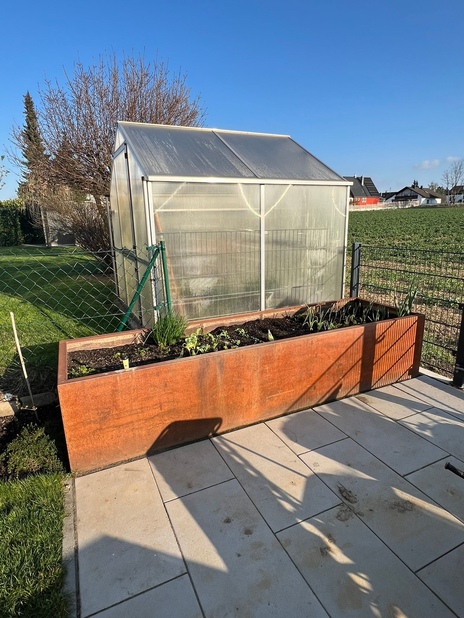 Auf einer Terrasse steht neben einem großen Blumenkasten aus rostigem Stahl ein Gewächshaus.