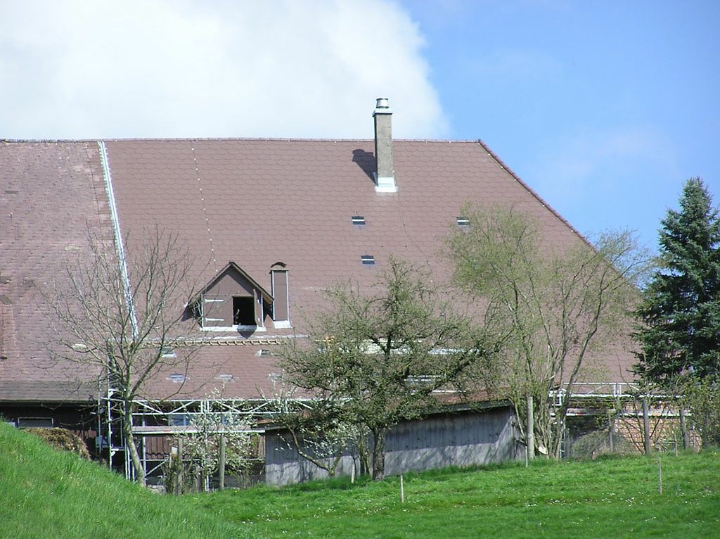 Wyss Bedachungen AG -