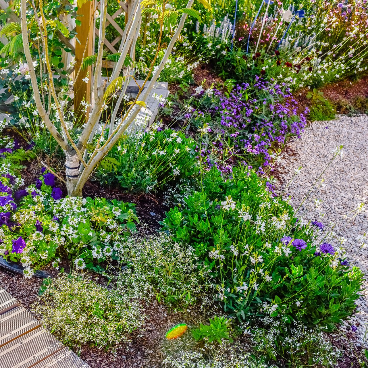 Un massif de fleurs