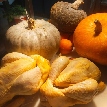 Présentation de courges, de citrouilles et de poulets crus.