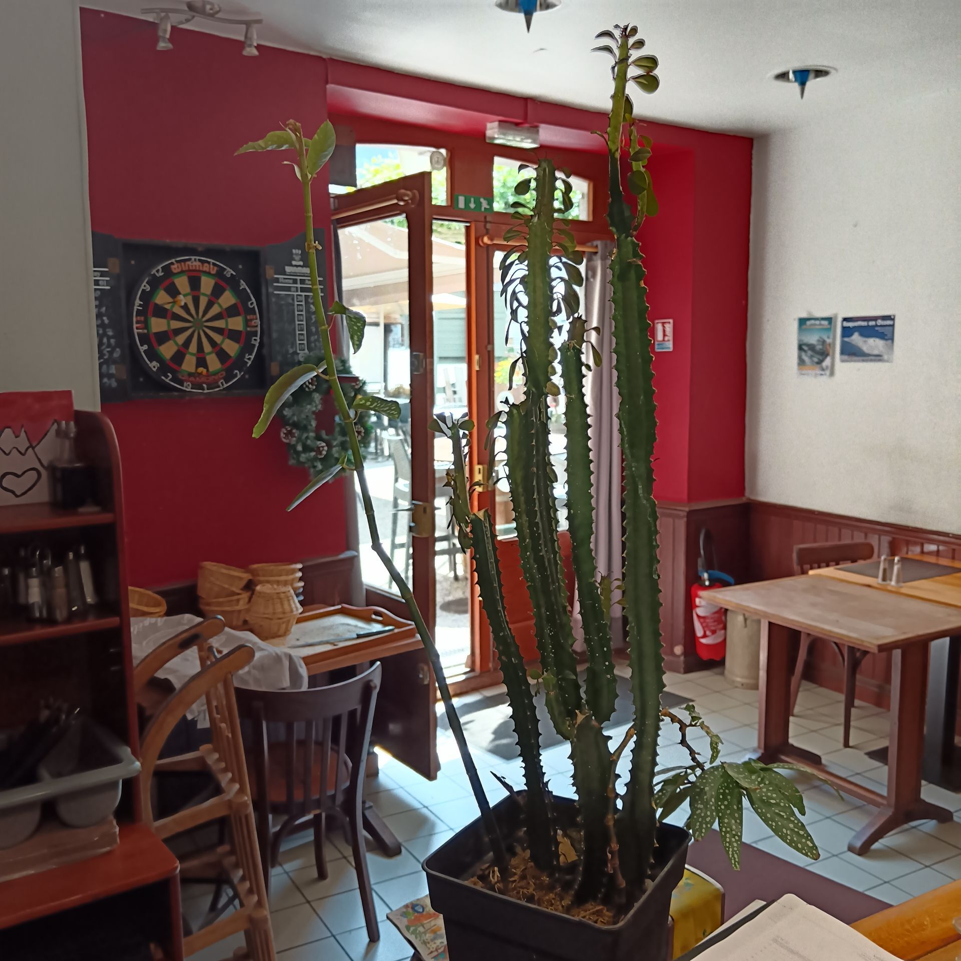 Intérieur d'un café avec des murs rouges, des tables, des chaises, un jeu de fléchettes et une grande plante en pot près de la fenêtre.