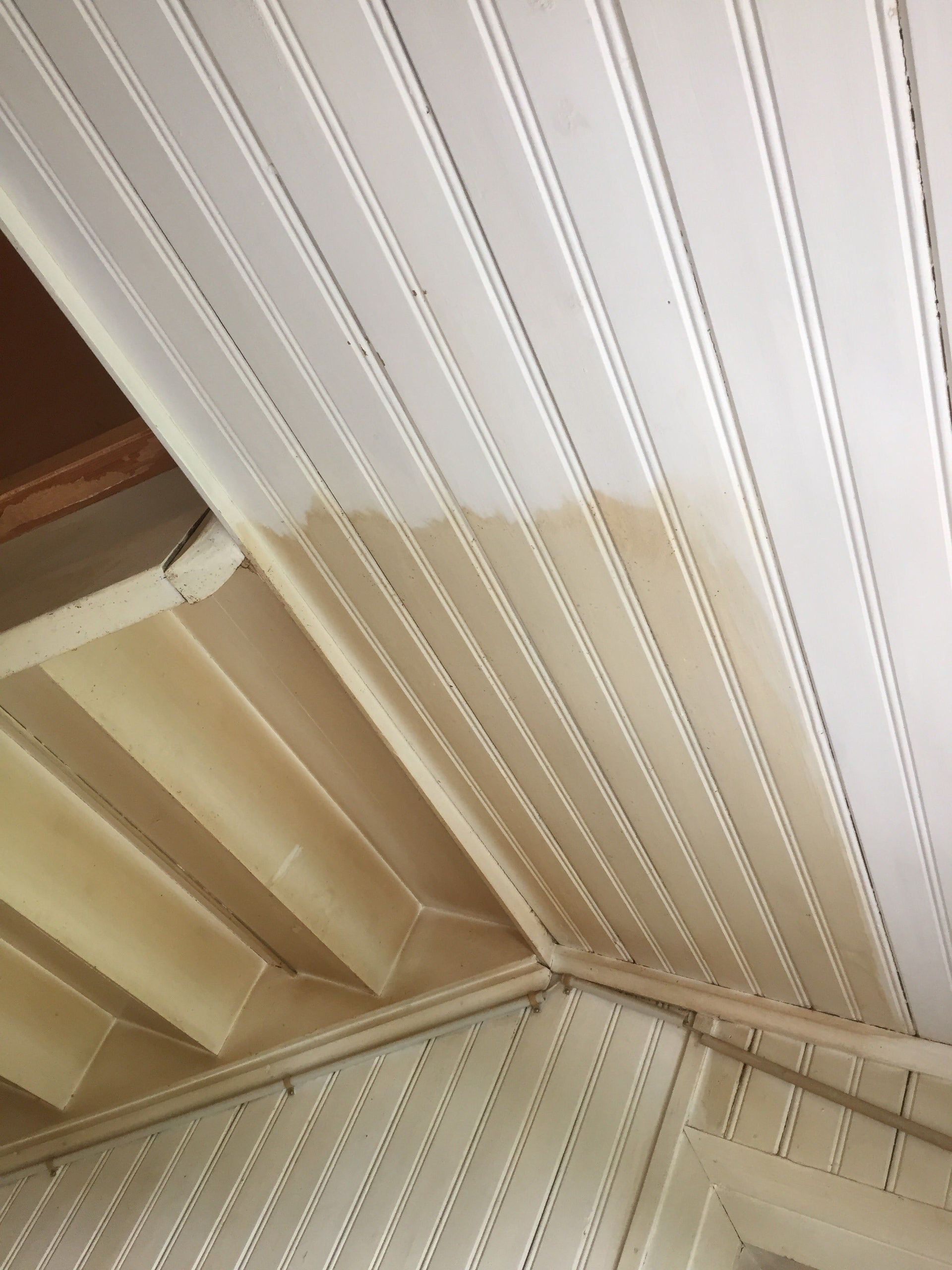 Stricker Gebäudereinigung - Wil SG