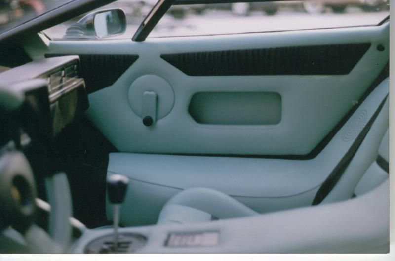 Komplette Innenausstattung in Leder neu angefertigt und montiert.