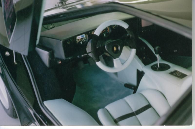 Komplette Innenausstattung in Leder neu angefertigt und montiert.