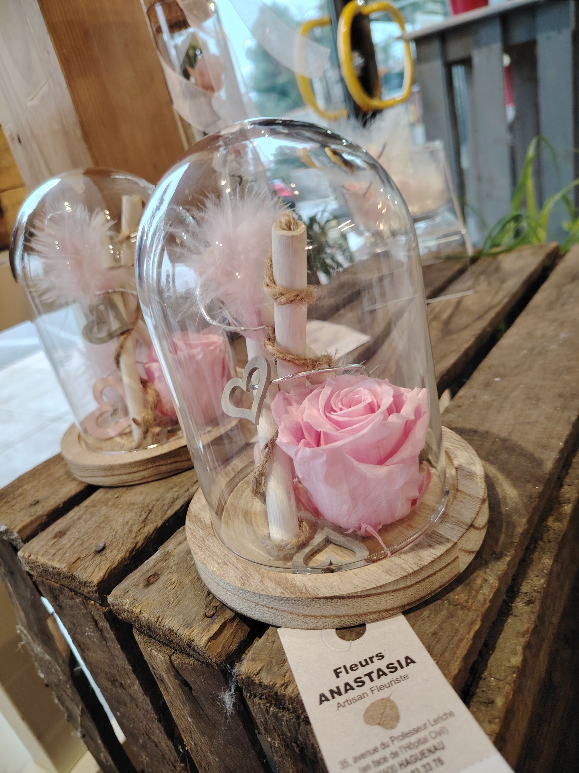 Rose éternelle