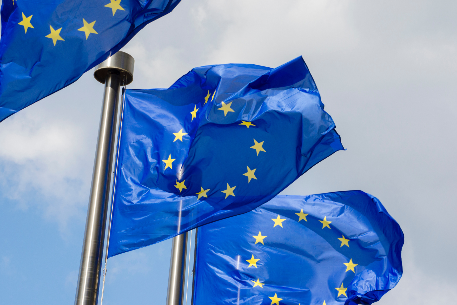 Blaue Flaggen der Europäischen Union mit goldenen Sternen wehen im Wind vor einem bewölkten Himmel.