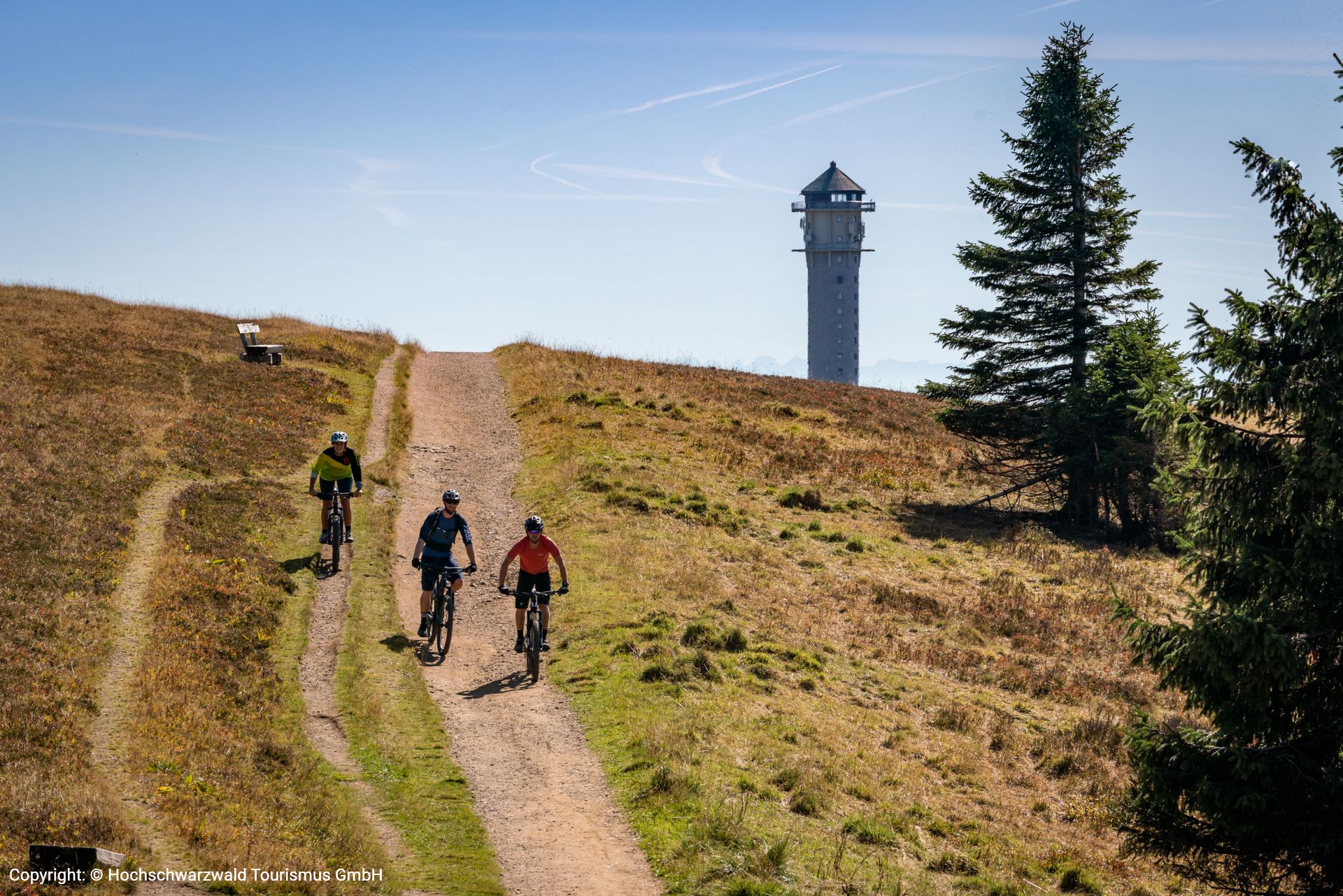 Gipfeltrail Feldberg