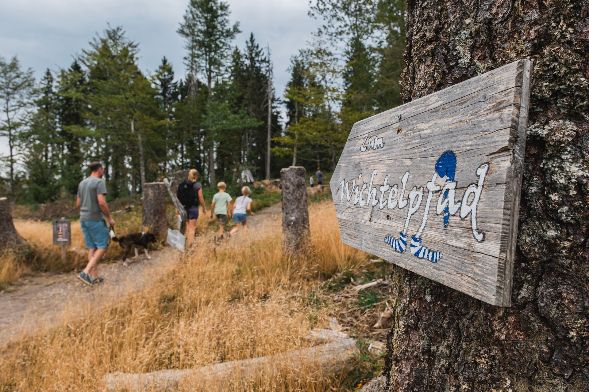 Wichtelpfad Feldberg