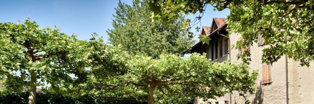 Sonnendurchfluteter Garten mit dichtem Grün aus Bäumen und Sträuchern neben einem Steingebäude mit rotem Dach.
