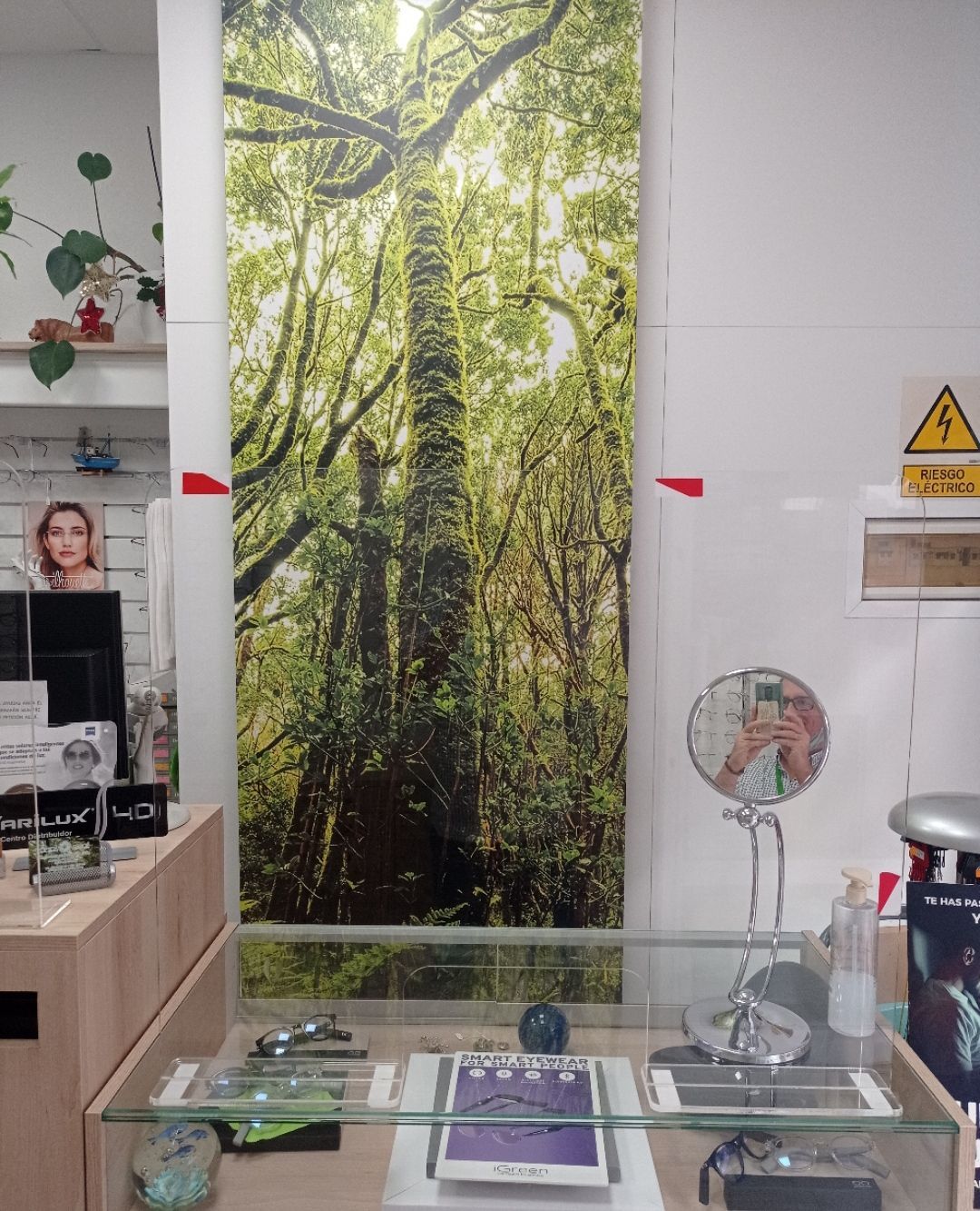 Una tienda con un cuadro grande de árboles en la pared.