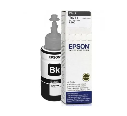 Epson Ink Cartridge Black C13T67314A