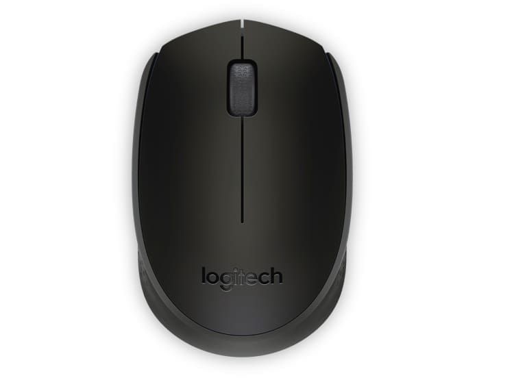 Logitech Wireless Mouse M170/M171