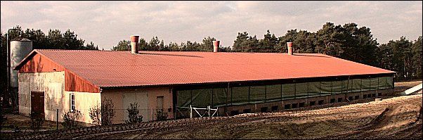 Dacheindeckung und Dachklempnerarbeiten, Objekt: Industriebau Stallgebäude für Geflügelhaltung in Beelitz OT Zauchwitz