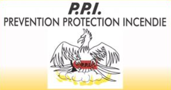 Logo PPI