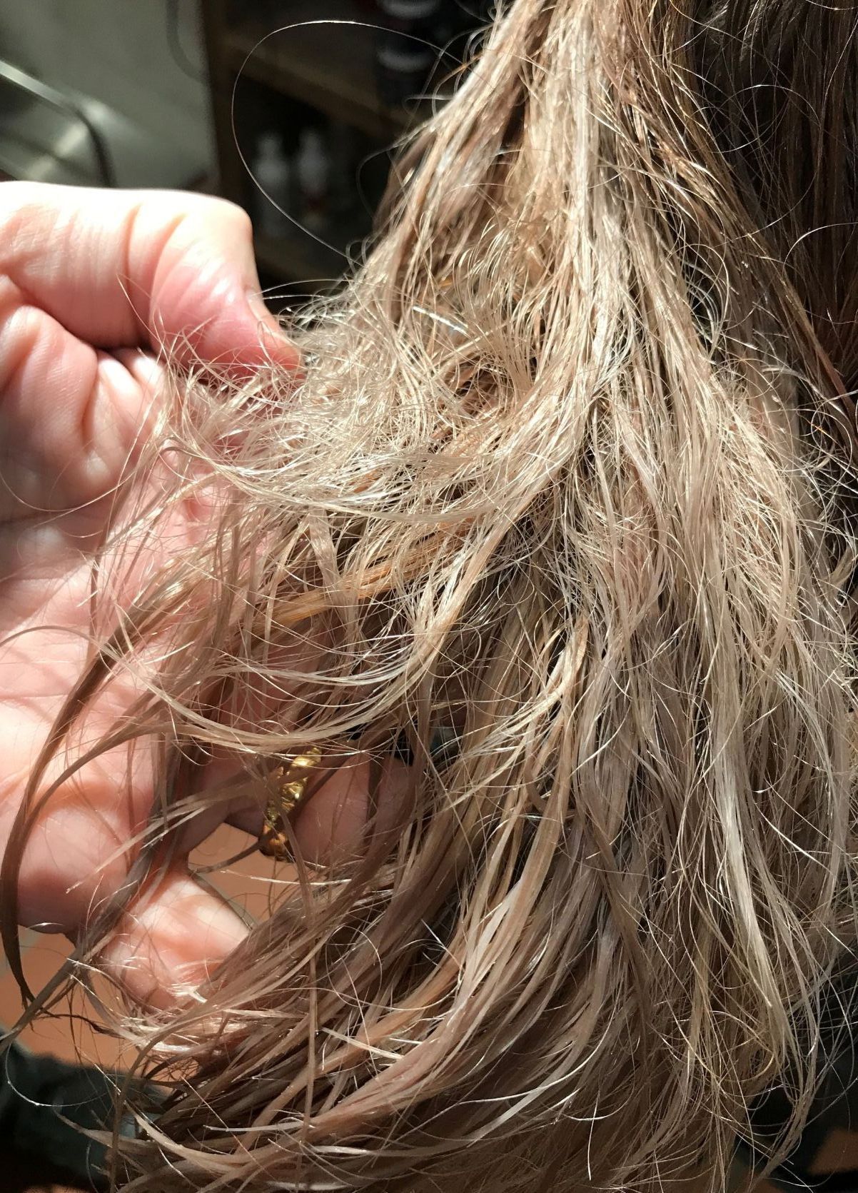 Vorher Wonder Protein