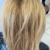 Vorher Wonder Protein