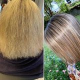 Vorher Wonder Protein