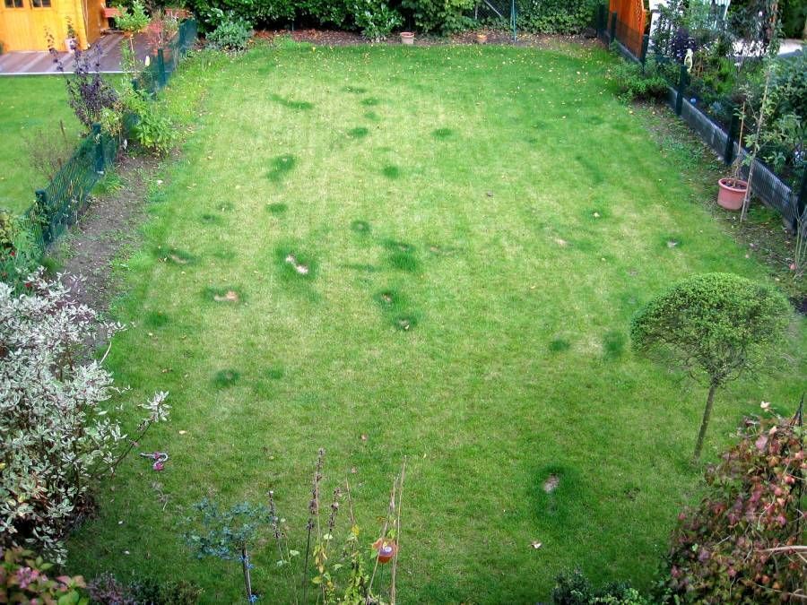 Reihenhausgarten vorher