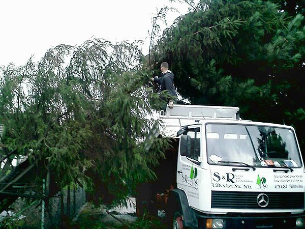 Sturmschadenbeseitigung