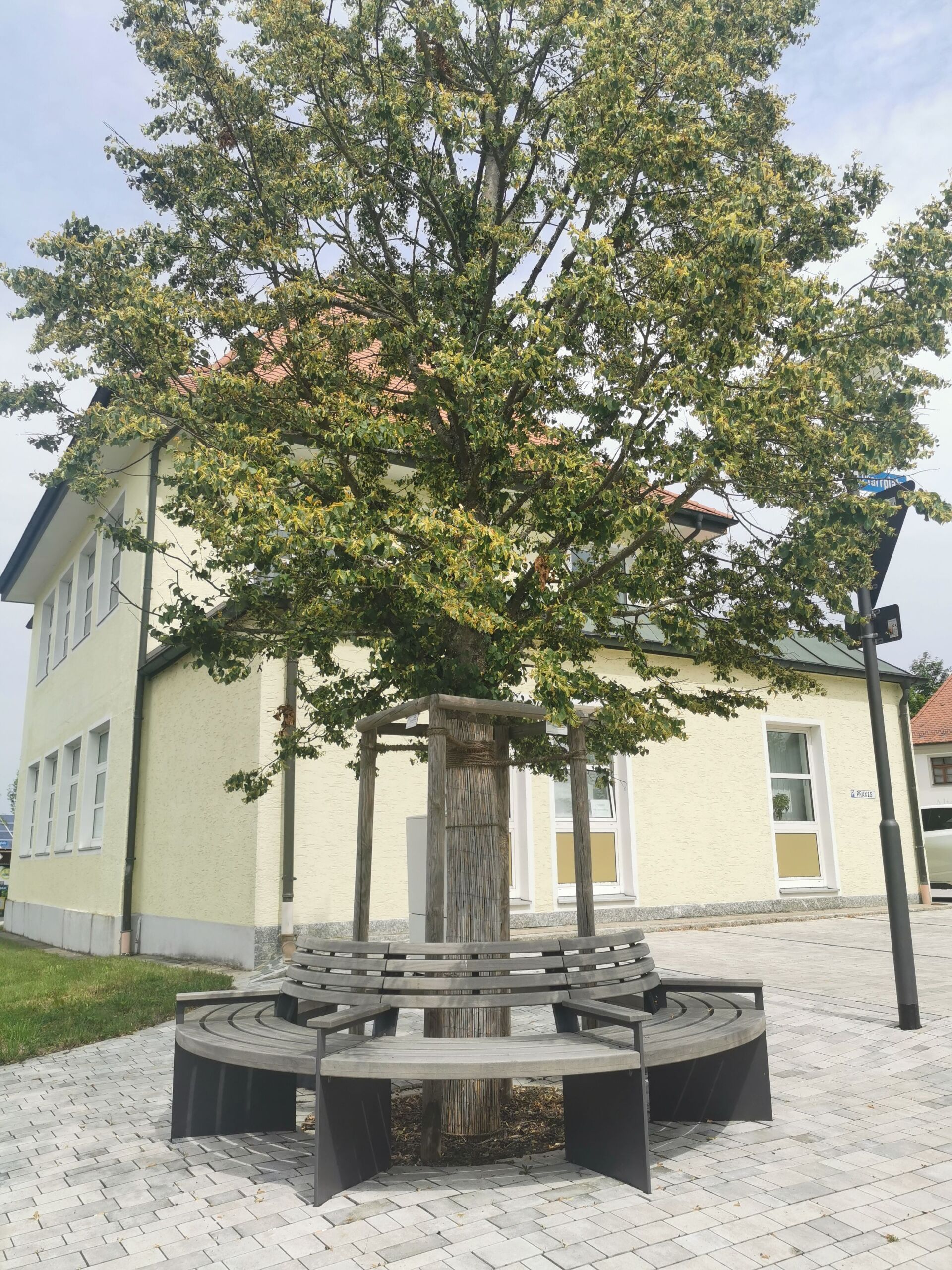 Bank mit Baum