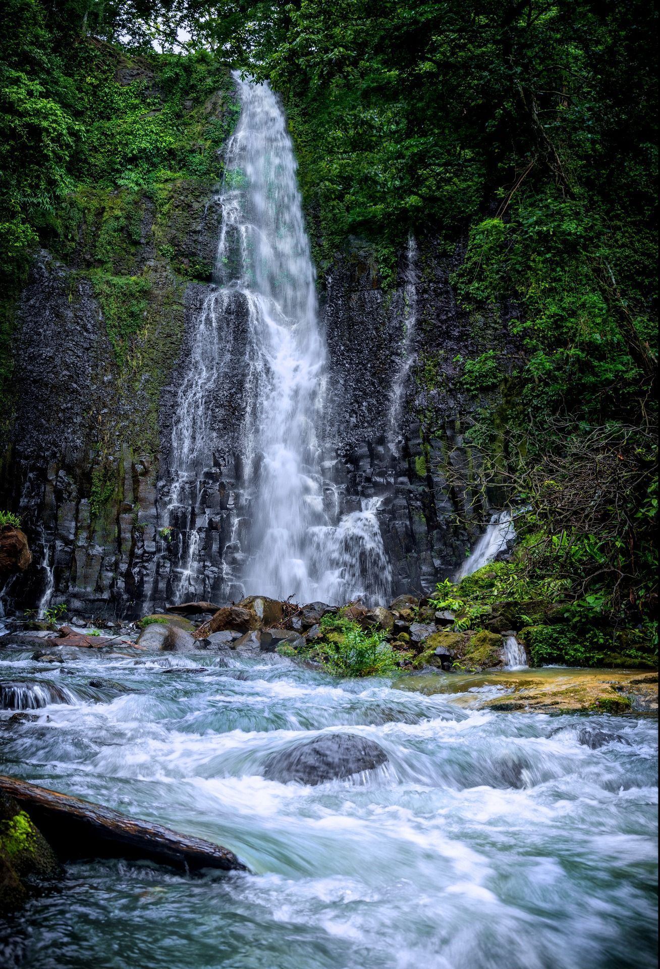 A waterfall is surrounded by trees and rocks in the middle of a river.