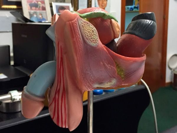 Urología