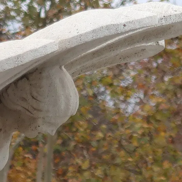 Primer plano de una escultura de piedra blanca, posiblemente un ala o una flor, sobre un fondo borroso de follaje otoñal.