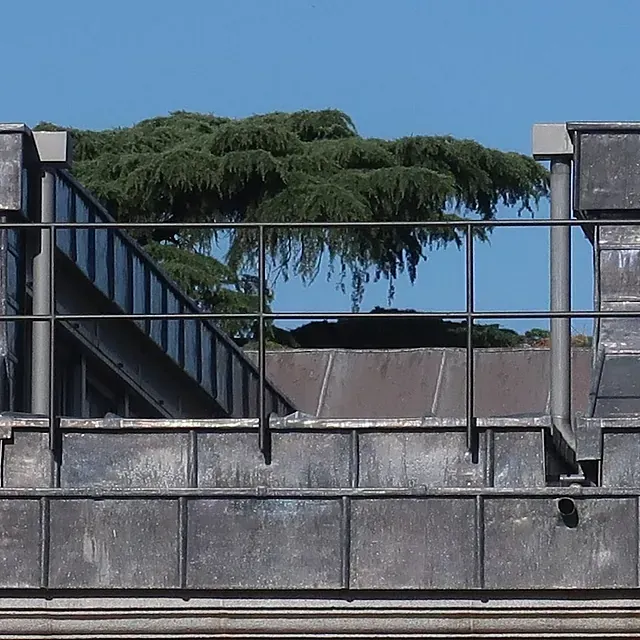 Estructura metálica con barandillas y escaleras, árbol al fondo.