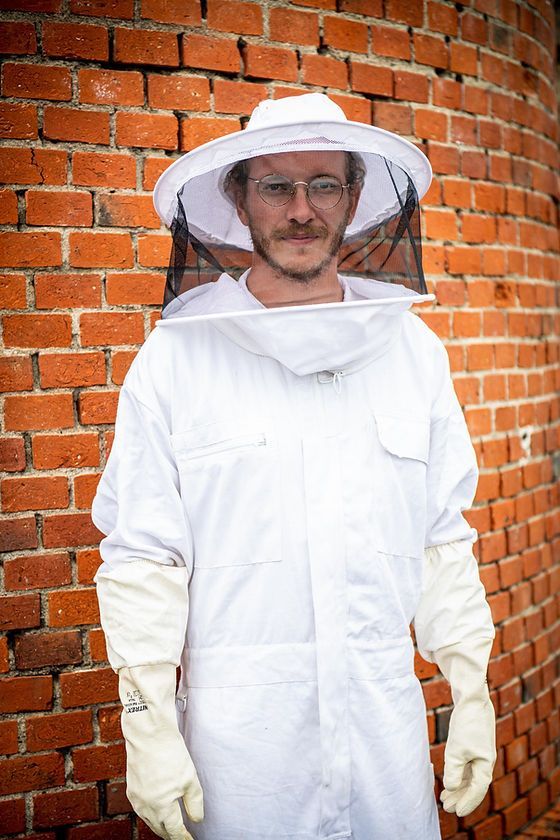 Intervention d'un désinsectiseur