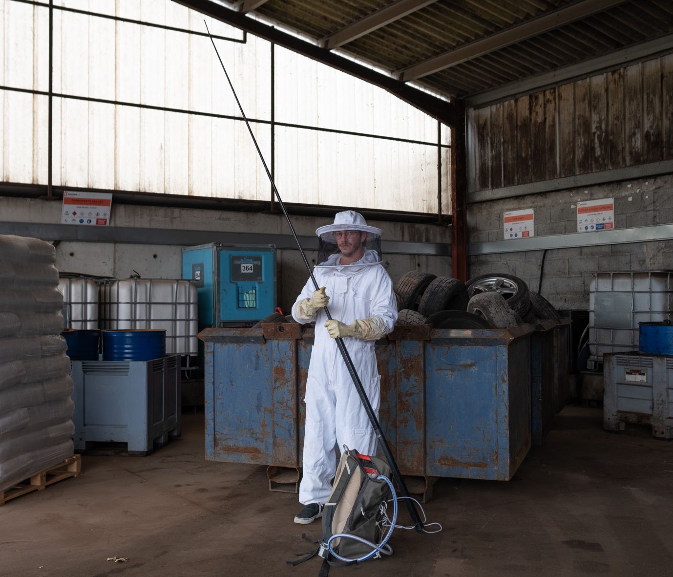 Destruction de nids de guêpes