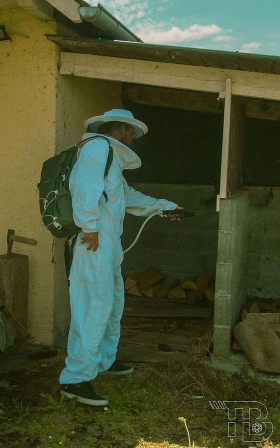 Professionnel de la désinsectisation