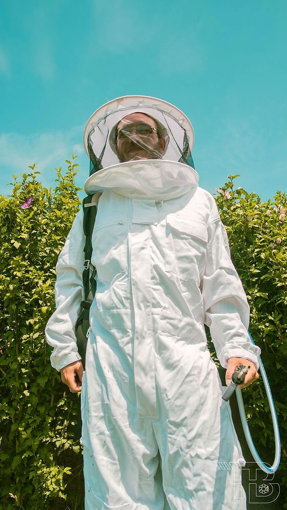 Destruction de nids de frelons