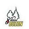 Logo Buzon Alain Paysagiste