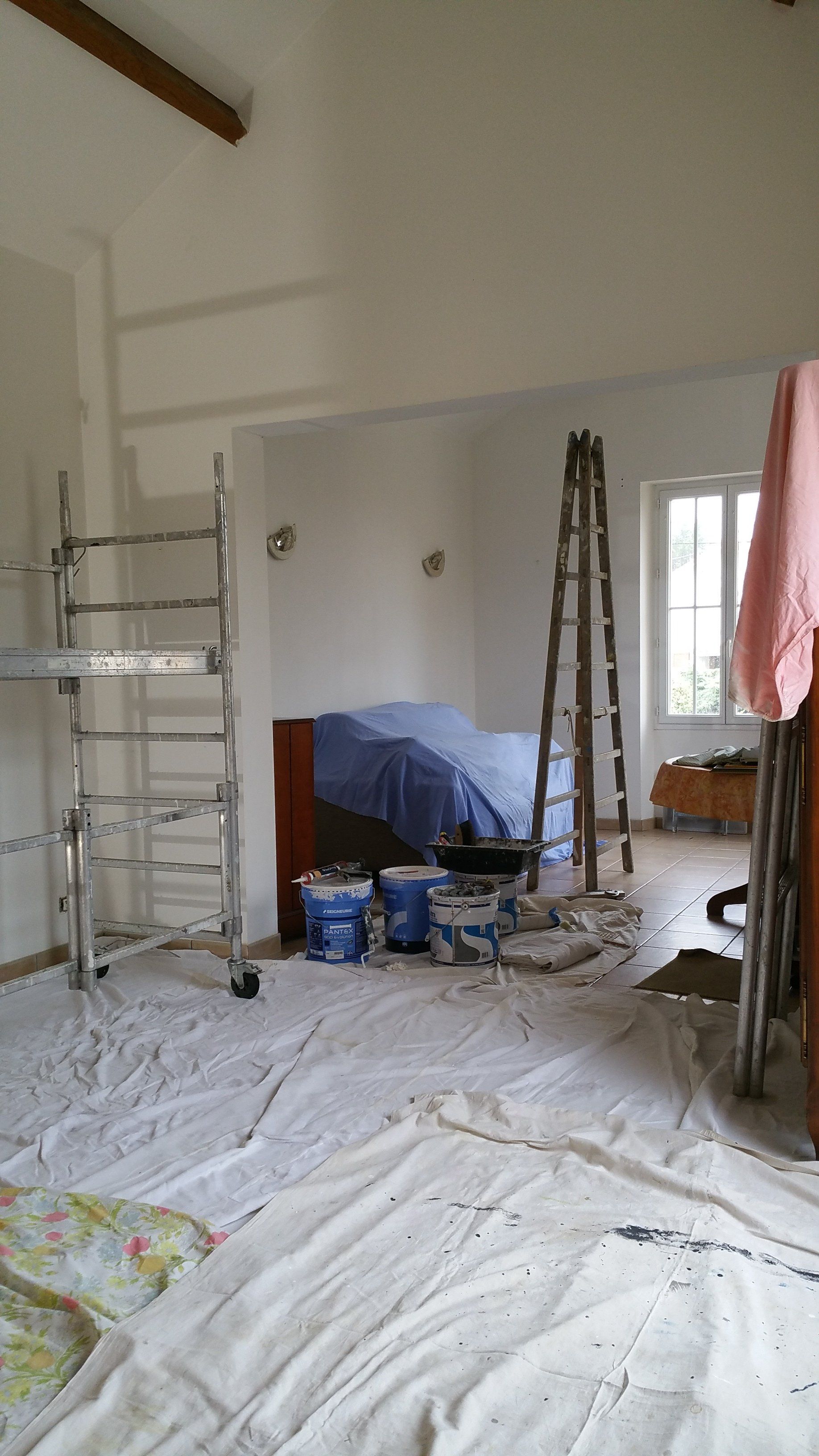 travaux de peinture avec échaffaudage et échelle