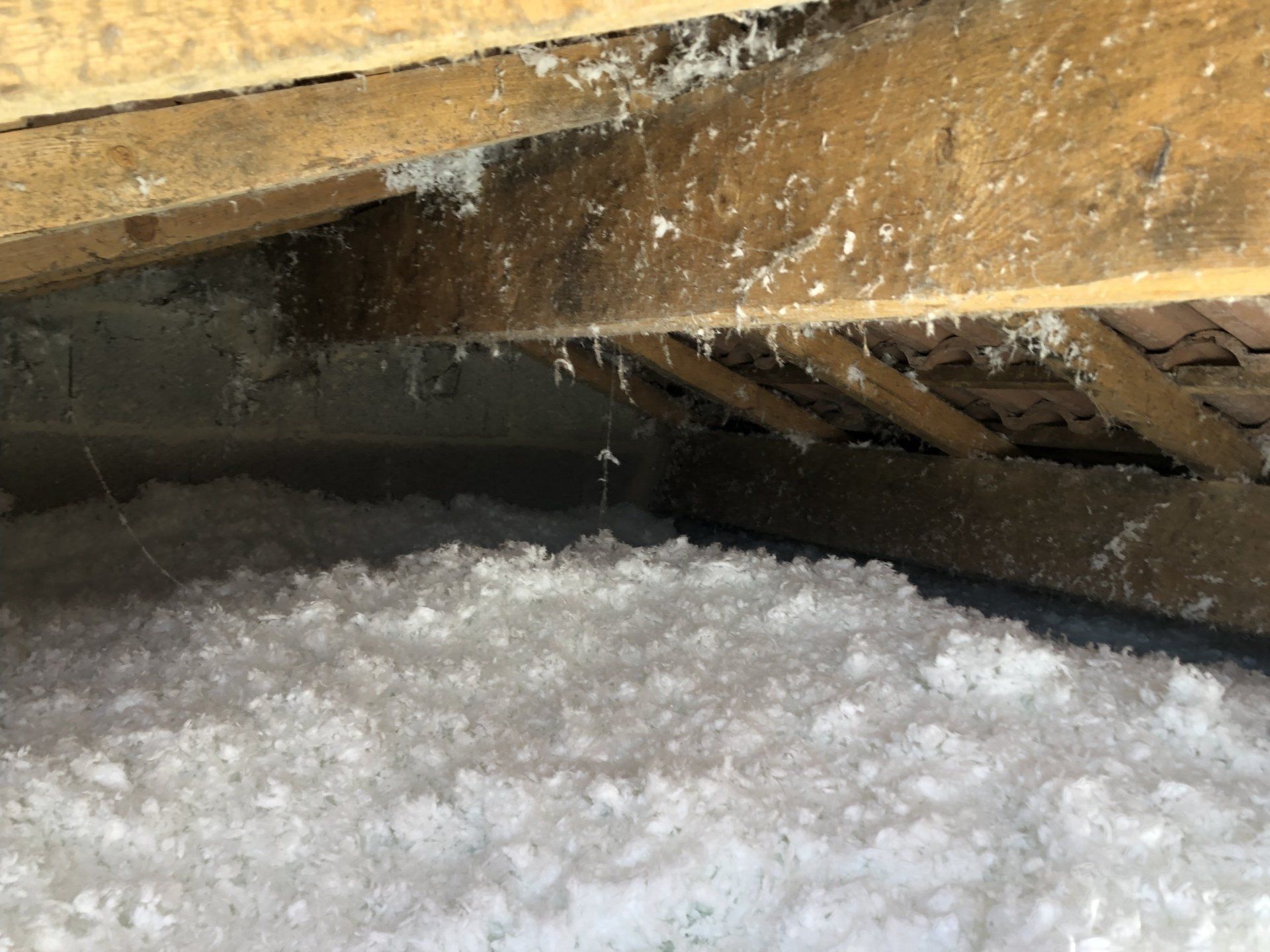 isolation blanche sur plancher avec charpente bois