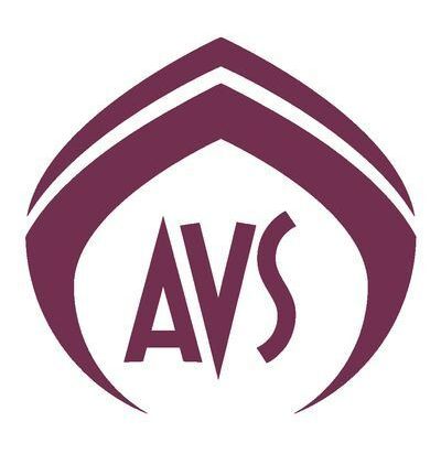Logo de l'entreprise AVS.