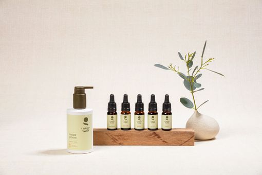 Produits Quintessence alignés sur un présentoir en bois