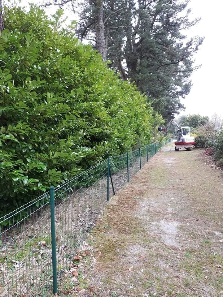 Un engin taille les haies le long d'un grillage