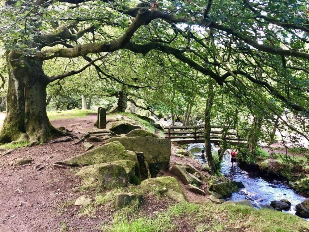 Dirt path under large tree with outstretched branches; stone wall, bridge over stream.