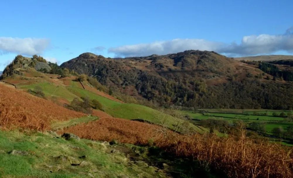 Rolling hills with brown and green vegetation under a blue sky.