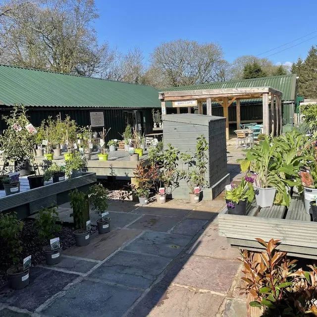 Garden center with plants, wooden structures, and a green roof on a sunny day.
