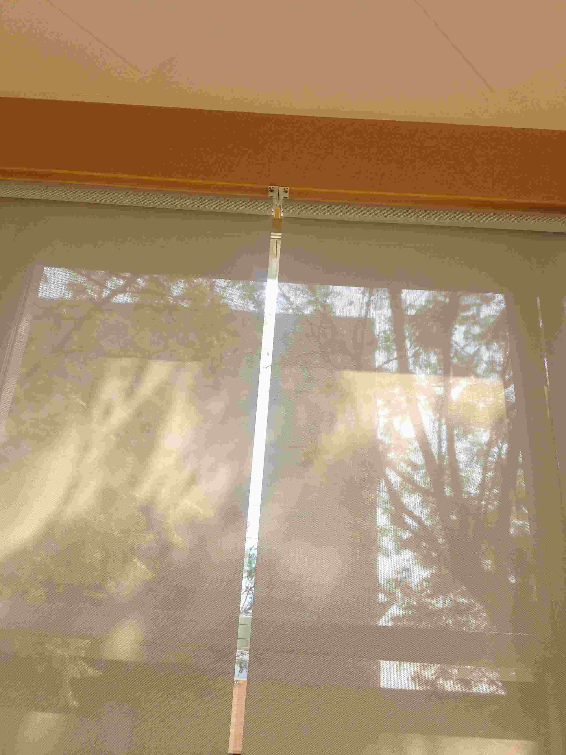 Una pantalla de proyector proyecta una imagen de árboles en una pared.