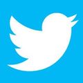 El logotipo de Twitter es un pájaro blanco sobre un fondo azul.