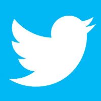 El logotipo de Twitter es un pájaro blanco sobre un fondo azul.