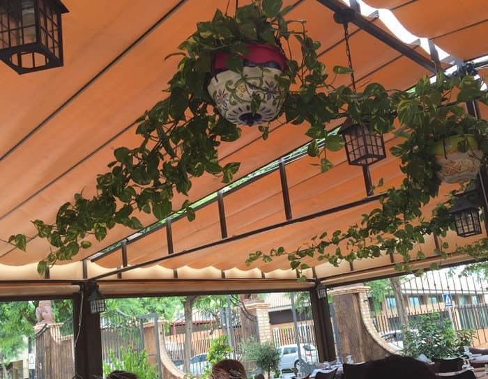 Un patio con dosel y plantas colgando del techo.