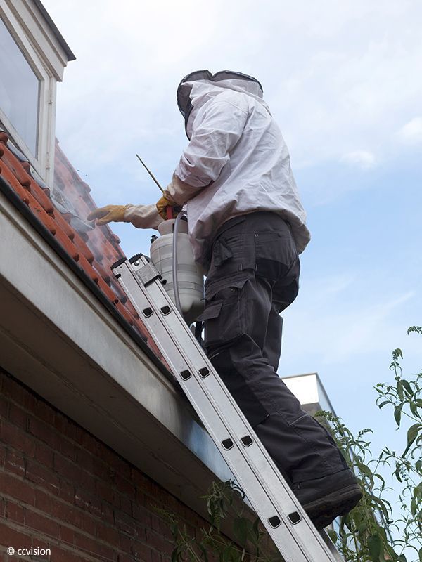 Schädlingsbekämpfung